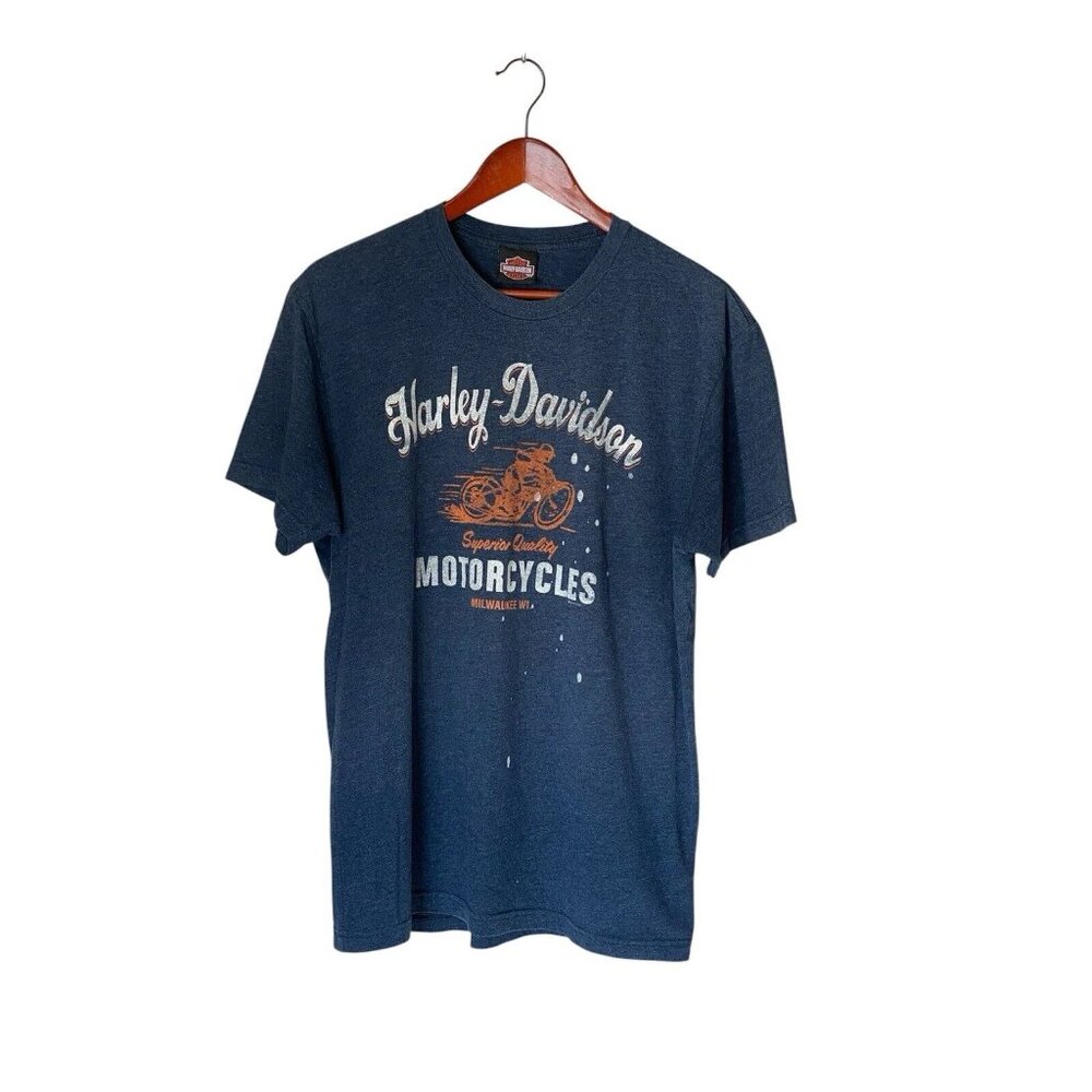 Harley Davidson Blue S/S T-Shirt Men's L Roanoke Valley HD Virginia